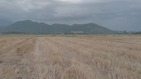 A flying camera flies over the fields that are flooded with water Stock Footage 117432983