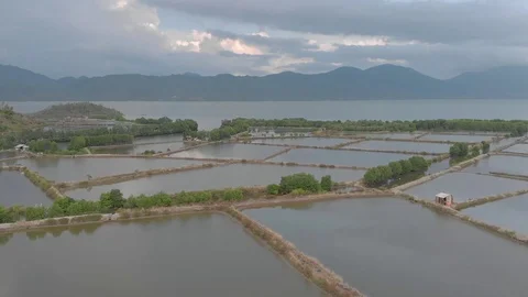 A flying camera flies over the fields that are flooded with water Stock Footage 117433106