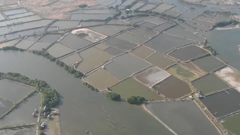 A flying camera flies over the fields that are flooded with water Stock Footage 117435983