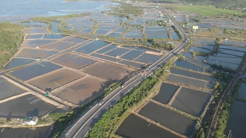 A flying camera flies over the fields that are flooded with water Stock Footage 117441867