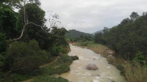 Flying camera flies over the mountains with thick green forests Stock Footage 100190741