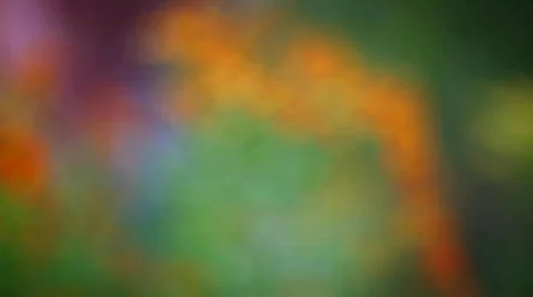 Flying camera in flowers Vidéo 627007