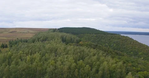 Flying camera over the forest and water Stock Footage 93664949