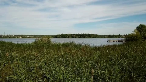 Flying camera from the reeds to the river Stock Footage 93449267
