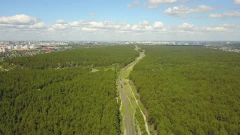 Flying camera shoots a passenger train in a pine forest Stock Footage 133622245