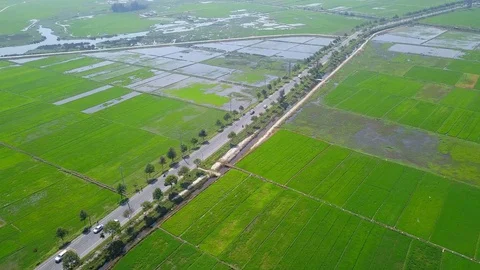 Flying camera takes green fields in Hoi An Video stock 128277094