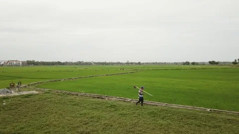 Flying camera takes green fields in Hoi An Video stock 128277148