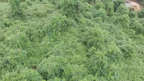 Flying camera well shows a large panorama of the city of Nha Trang in Vietnam Vídeos de archivo 100191198