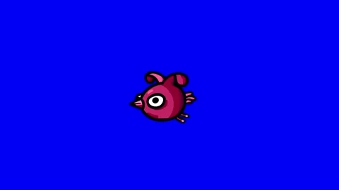 Flying canary red chicken - loop on blue 255 screen Stock Footage 237348669