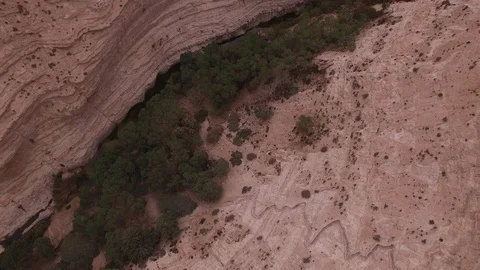 Flying in the canyon of Ein Avdat Reserve. Negev Desert. Israel. DJI-0208-07 Stock Footage 123656467
