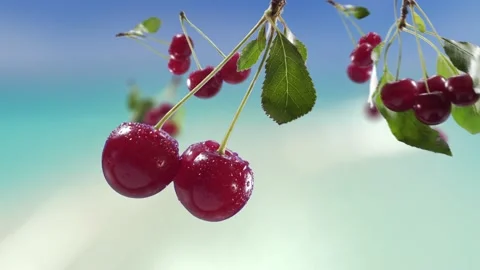 Flying Cherry and Cherries bunch in Beach Tropical Summer Background Video stock 229493584