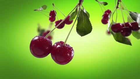 Flying Cherry and Cherries bunch in Lime Green Background Video stock 229561250