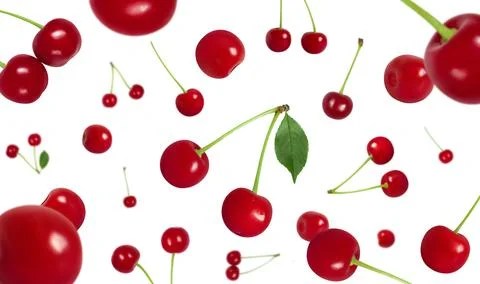 Flying cherry isolated on a white background. Falling red cherry berries. Ber Stock Photos