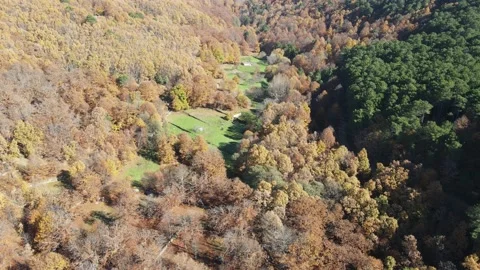 Flying chestnuts, pines and meadows Stock-Footage 196287221