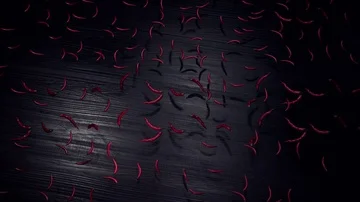 Flying Chili Stock Footage 86116650