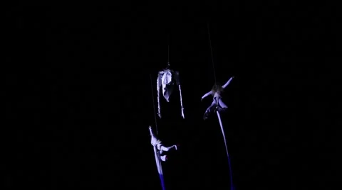 Flying circus acrobats Stock Footage 62196415