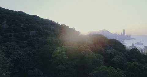 Flying to city Stock Footage 70407379