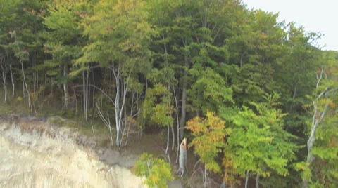 Flying Up A Cliff Over The Forest Stock Footage 36836695