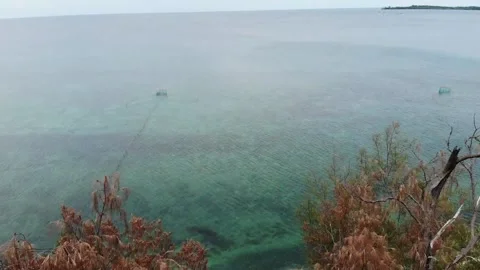 Flying from the cliff to the sea Stock Footage 138976918