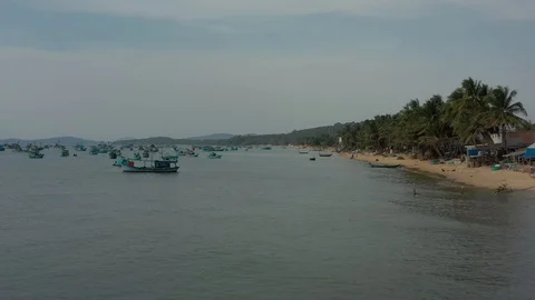 Flying close to beach or shore between harbour full of ships and boats and palms Stock Footage 124213660