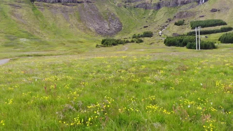 Flying Close To The Grass With The Drone near iceland mountain Stock Footage 130590553
