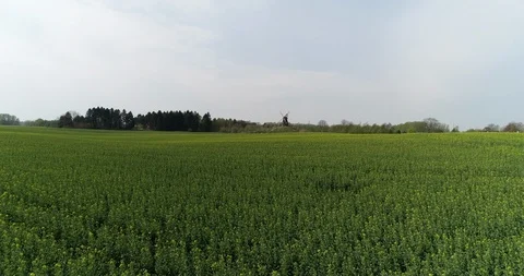 Flying close to ground towards mill Video stock 106883954