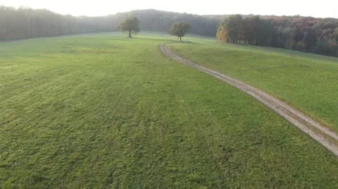 Flying close over grassland Stock Footage 20501305