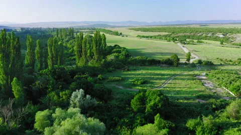 Flying close over trees, fields and the road on which a car drives in the Stock Footage 152404288