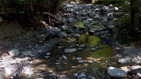 Flying close to small creek in the middle of the woods. Video stock 152047326
