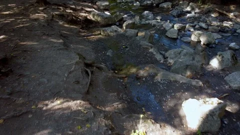 Flying close to a small creek under the trees. Sunrays through the foliage. Video stock 152047304