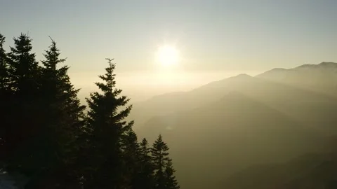 Flying Close To Spruce Trees With two Pyramids Looking Mountains, Warm Sunset. Stock Footage 168253240