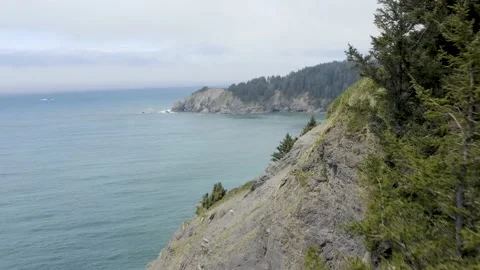 Flying close to trees and steep cliff along the Oregon Coastline in summer. Stockbeeldmateriaal 164129945
