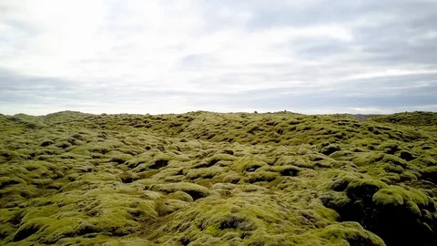 Flying closely over green moss fields Video stock 85626024