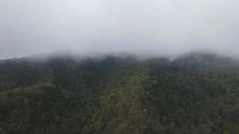 Flying in the cloud out of the cloud to West Virginia Mountains Stock Footage 191949289