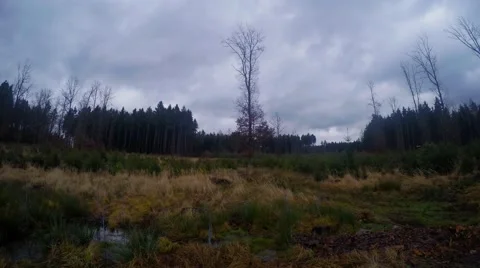 Flying cloud over the trees, timelapse Stock Footage 45794998