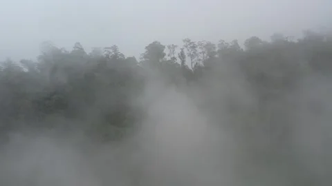 Flying in clouds and fog in a rain forest on a tropical mountain island 库存影片 243714979