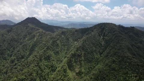 Flying in clouds and fog in a rain forest on a tropical mountain island Vidéo 243715522
