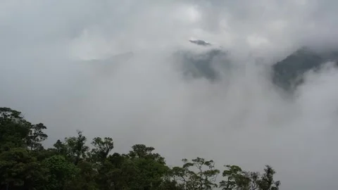 Flying in clouds and fog in a rain forest on a tropical mountain island 库存影片 243717030