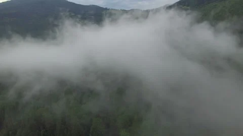 Flying in the clouds in a beautiful mountain forest Stock Footage 67109143