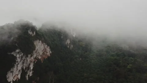 Flying from the clouds to the earth above tropical valley with mist on a rainy Stock Footage 201415440