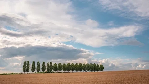 Flying clouds in a field, time lapse Video stock 158496446