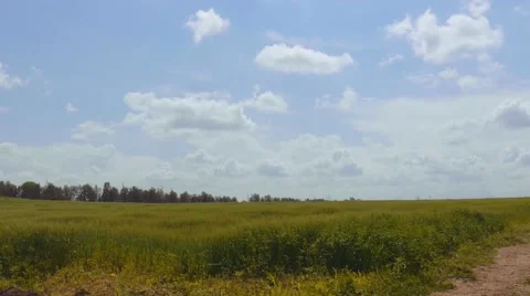 Flying clouds over the field Stock Footage 41205115