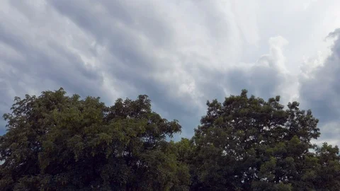Flying clouds over trees timelapse Stock Footage 88049172