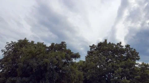 Flying clouds over trees timelapse Stock Photos