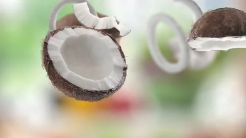 Flying Coconut and Coconuts slices in Green Garden Orchard Shiny Background Stock Footage 229559172
