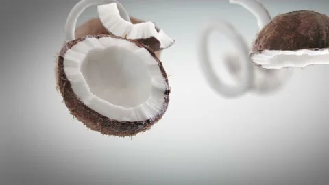 Flying Coconut and Coconuts slices in Grey Background Stock Footage 229562570