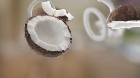 Flying Coconut and Coconuts slices in Bright Brown Kitchen Background Stock Footage 229563132