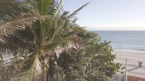 Flying from coconut trees to beach horizon Video stock 104482269