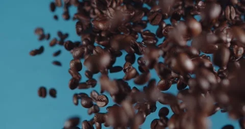 Flying coffee beans isolated on blue background. Roasted coffee grains explosion 動画素材 243220354