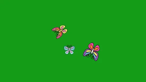 Flying colourful butterflies motion graphics with green screen background Stock Footage 134305586